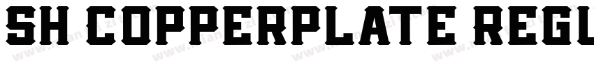 Sh Copperplate Regul字体转换